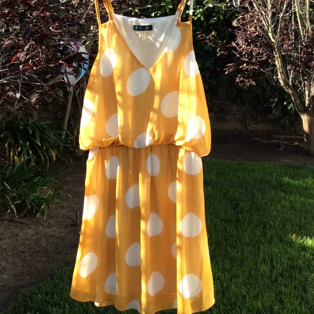 CALS polka dot dress